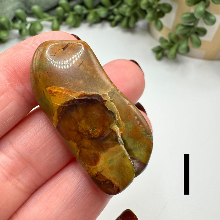 Rockcuterie (Sardonyx) Tumble