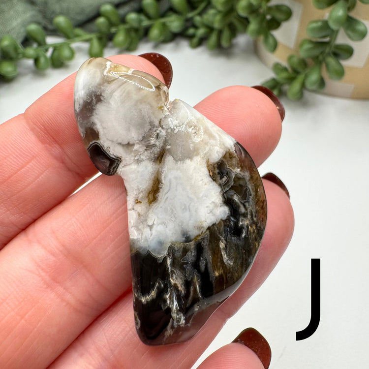 Rockcuterie (Sardonyx) Tumble