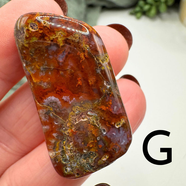 Rio Grande River Tumble