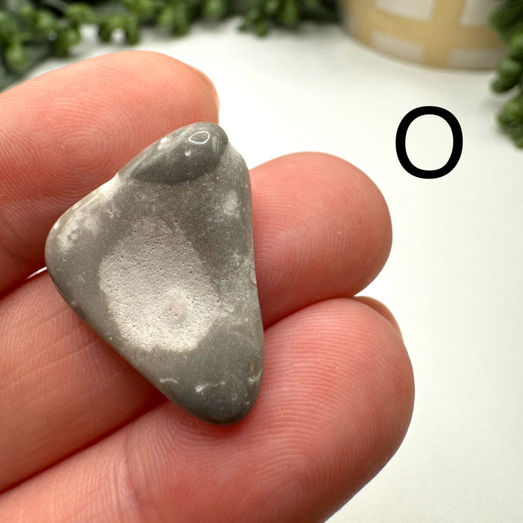 Cape May Jasper Tumble