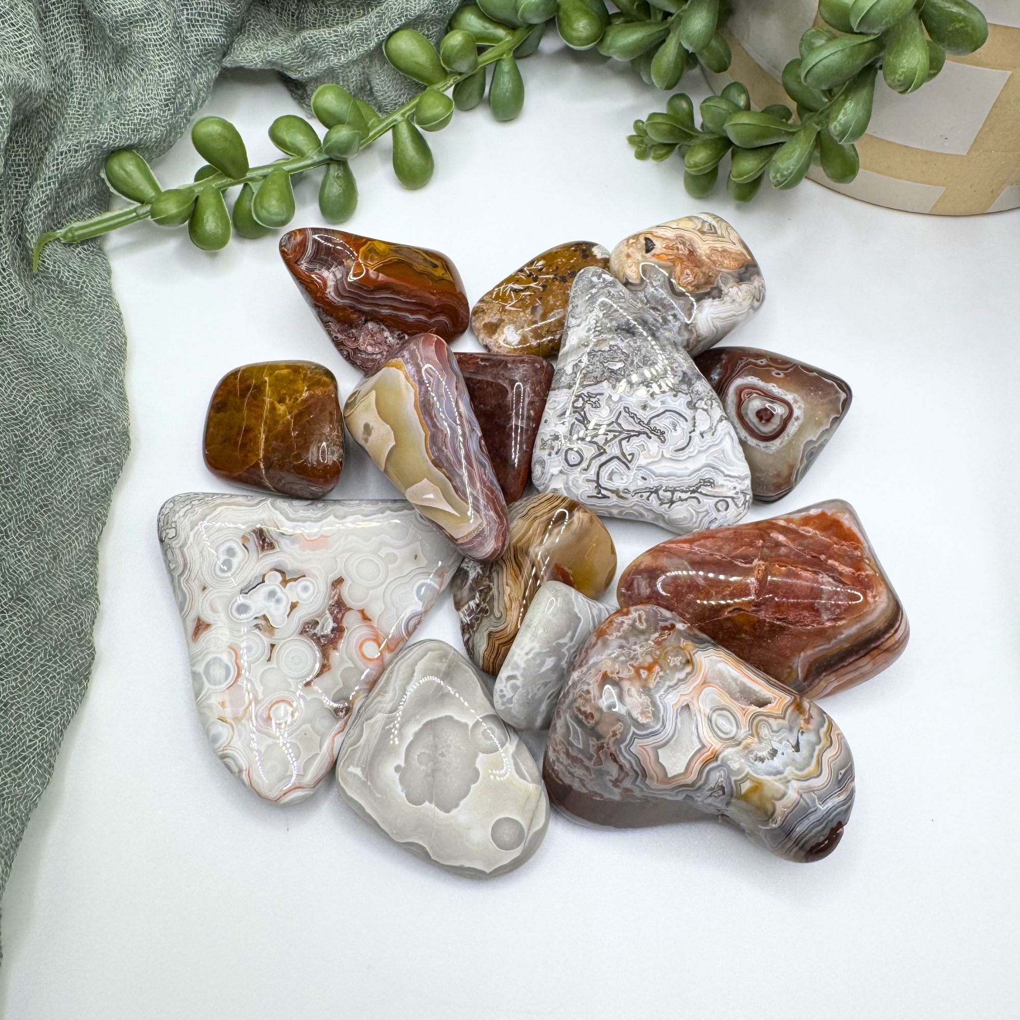 Crazy Lace Agate Tumble - Sus Stew Batch – Moonrise Rocks