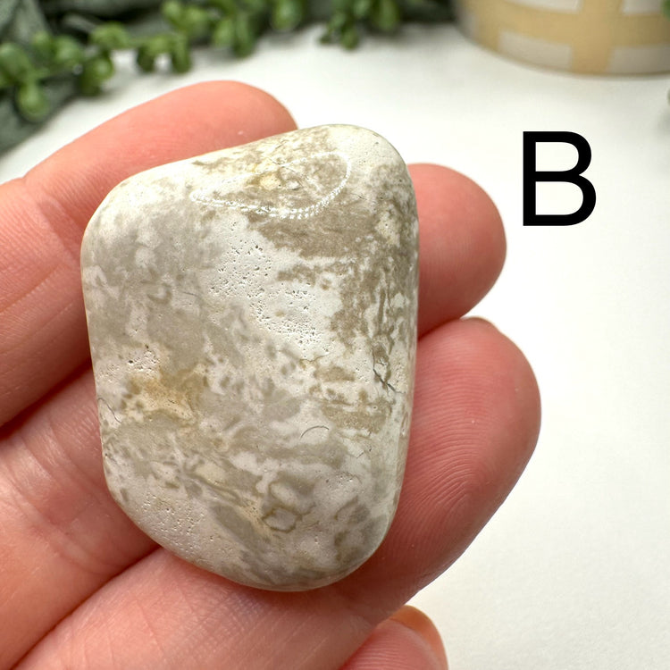 Cape May Jasper Tumble