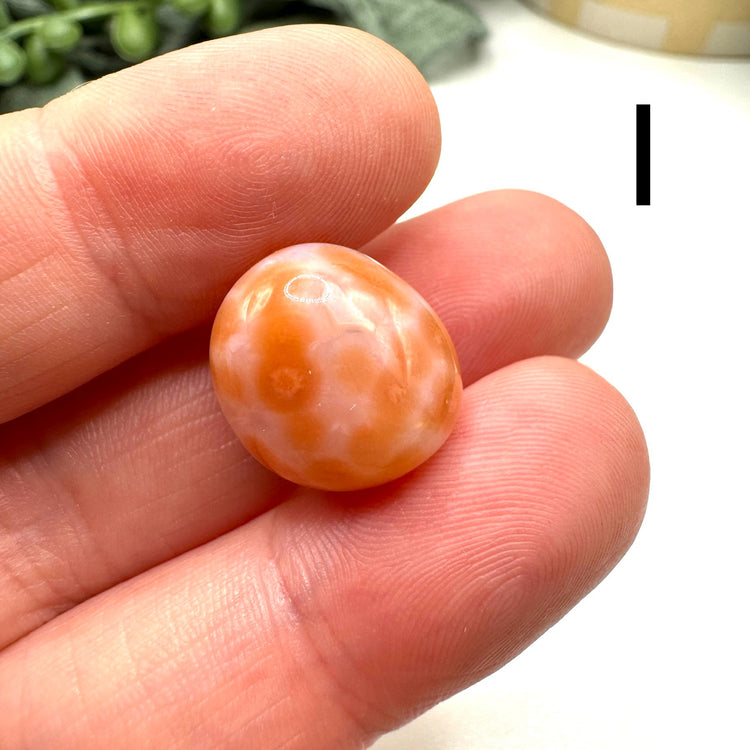 Small Carnelian Tumble
