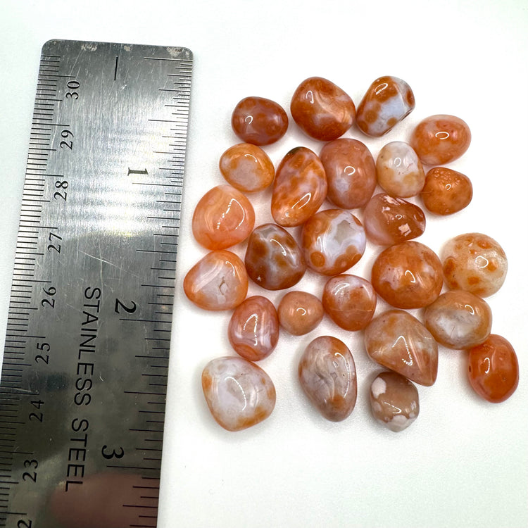 Teeny Tiny Carnelian Tumble