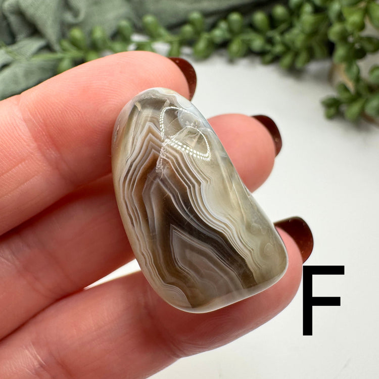 Botswana Agate Tumble