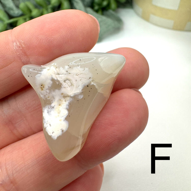Montana Moss Agate Tumble
