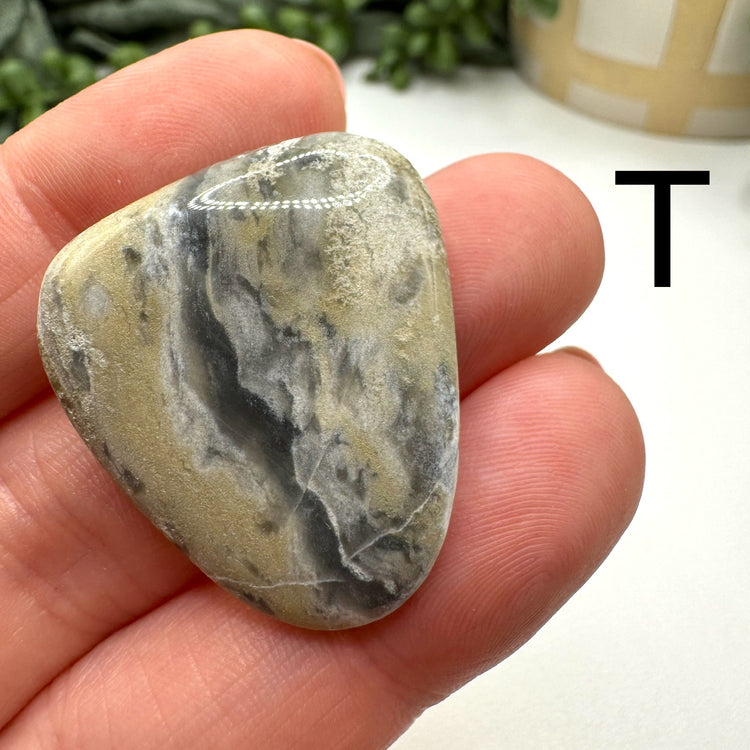 Cape May Jasper Tumble