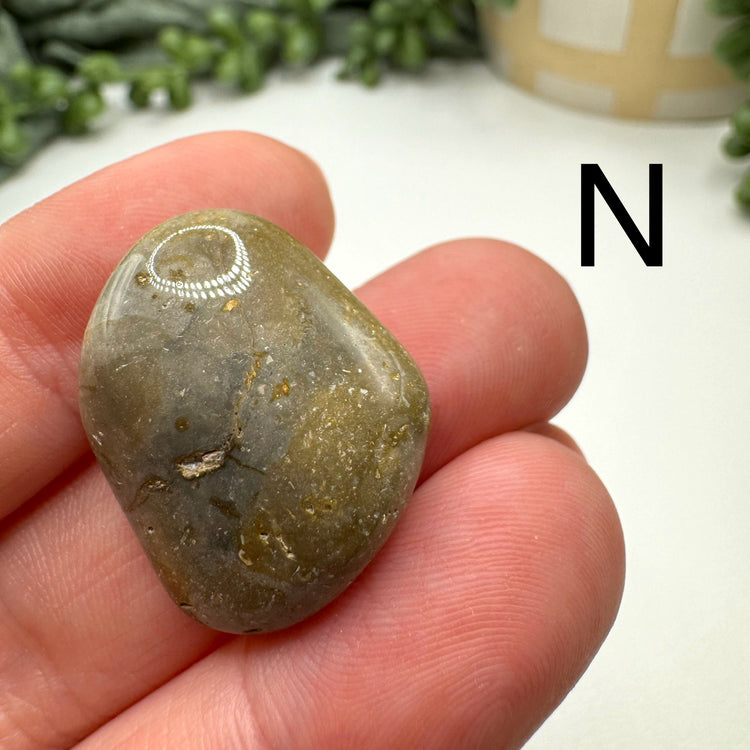 Cape May Jasper Tumble
