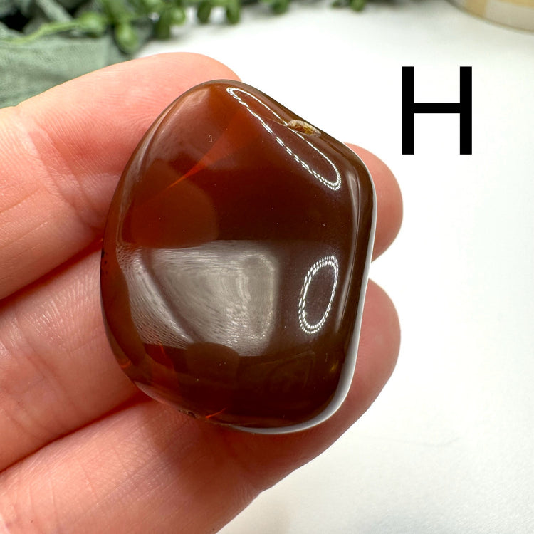 Chocolate Opal Tumble