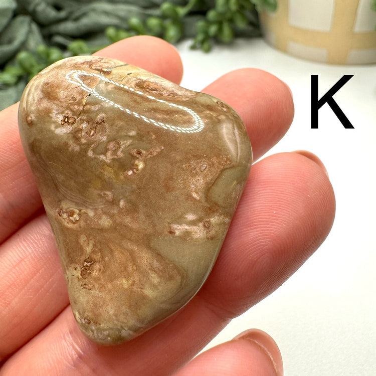Cape May Jasper Tumble