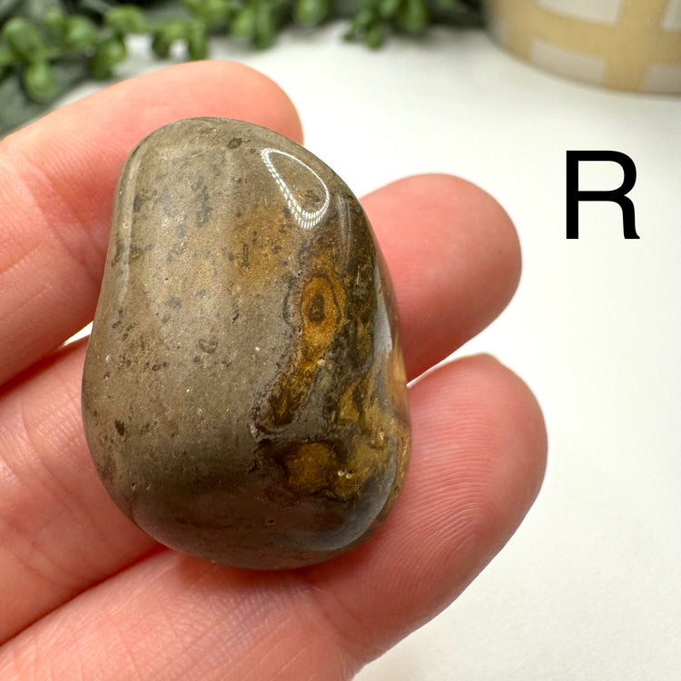 Cape May Jasper Tumble