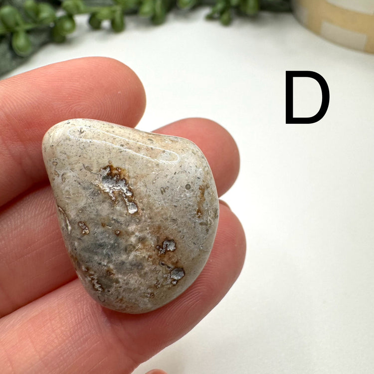 Cape May Jasper Tumble