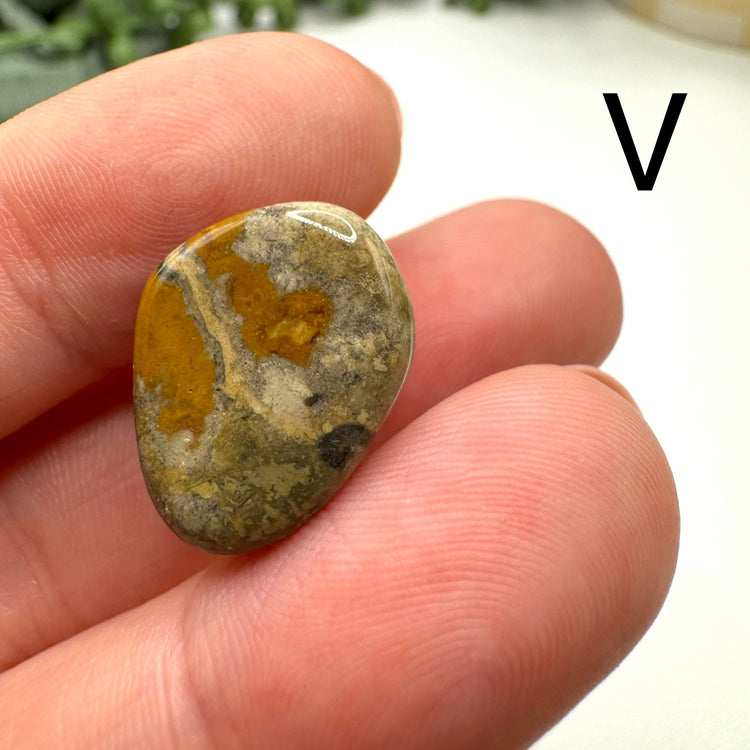 Cape May Jasper Tumble