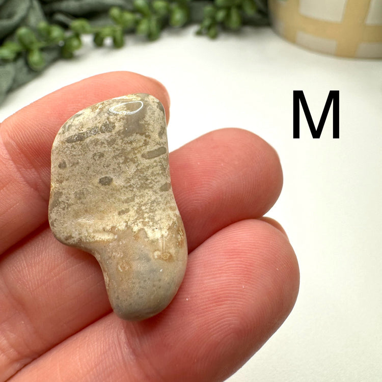 Cape May Jasper Tumble