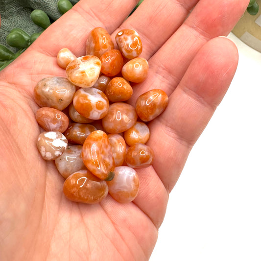 Teeny Tiny Carnelian Tumble