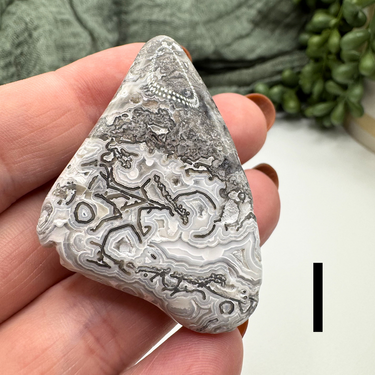 Crazy Lace Agate Tumble - Sus Stew Batch