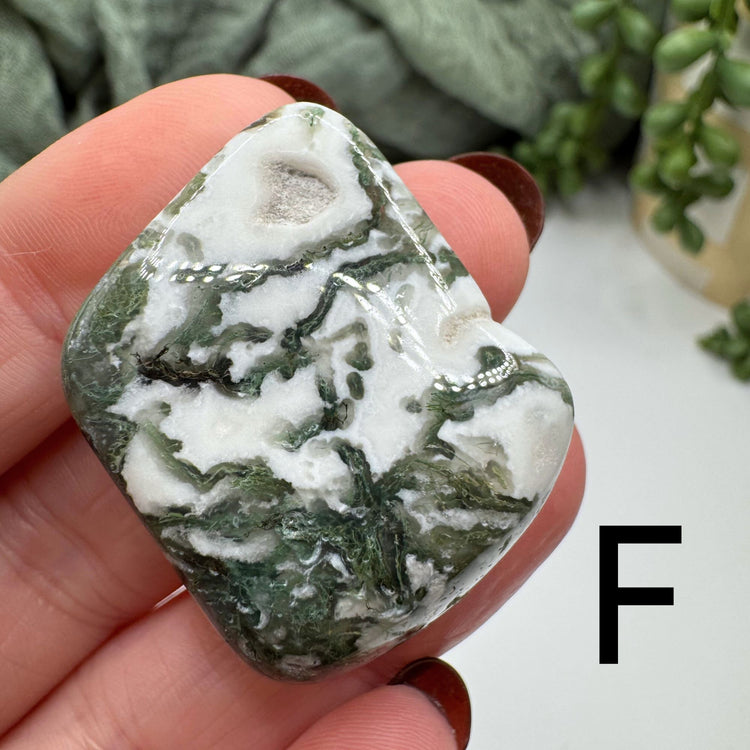 Tree Agate Tumble