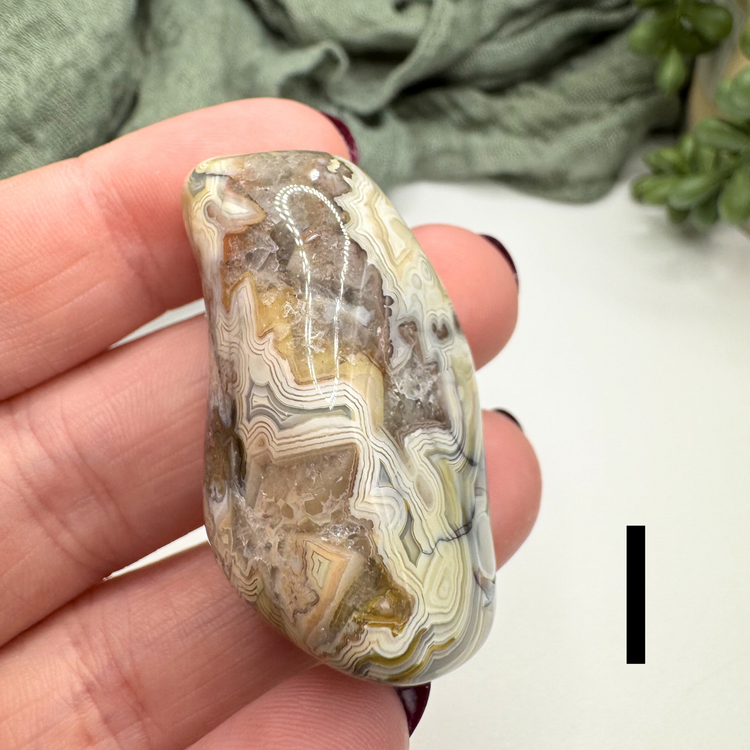 Crazy Lace Agate Tumble