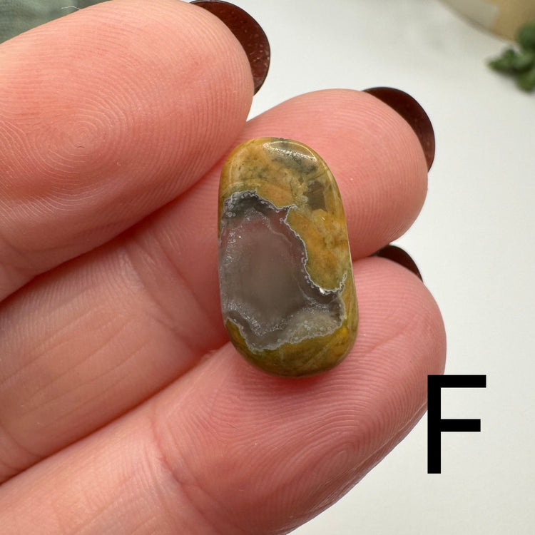 Rainforest Jasper Tumble