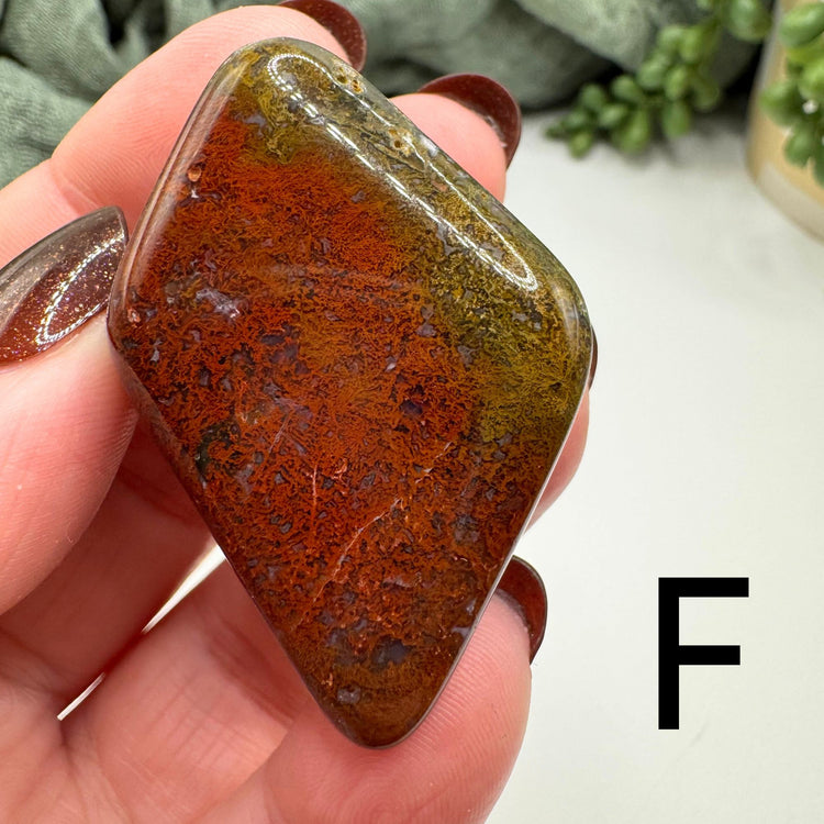 Rio Grande River Tumble