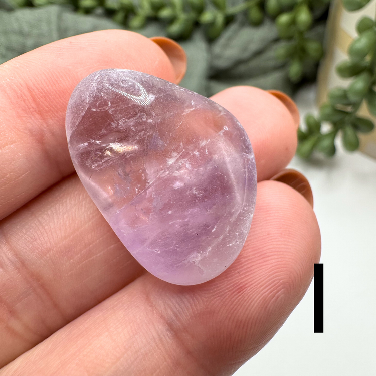 *IMPERFECT* Amethyst Tumble - Sus Stew Batch