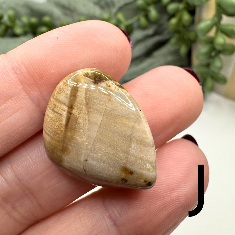 Petrified Wood Tumble