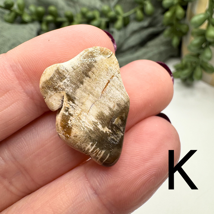 Petrified Wood Tumble