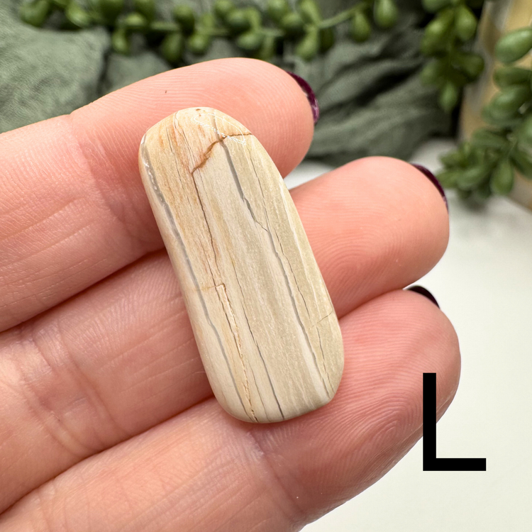 Petrified Wood Tumble