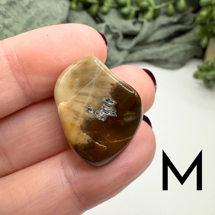 Petrified Wood Tumble