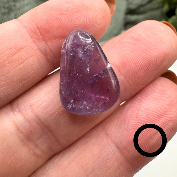 *IMPERFECT* Amethyst Tumble - Sus Stew Batch