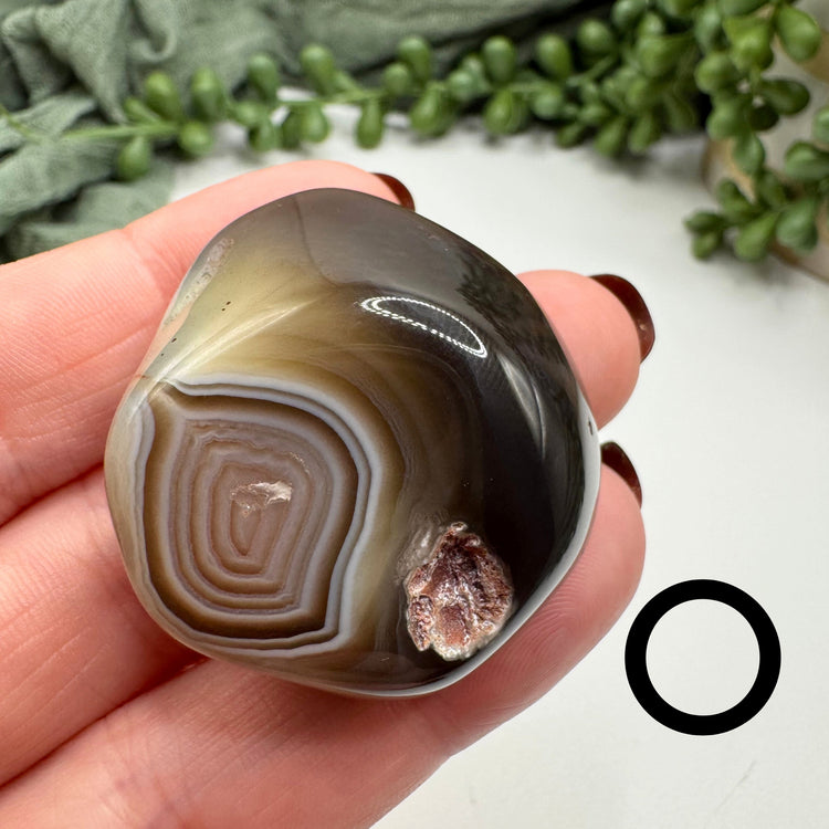 Botswana Agate Tumble