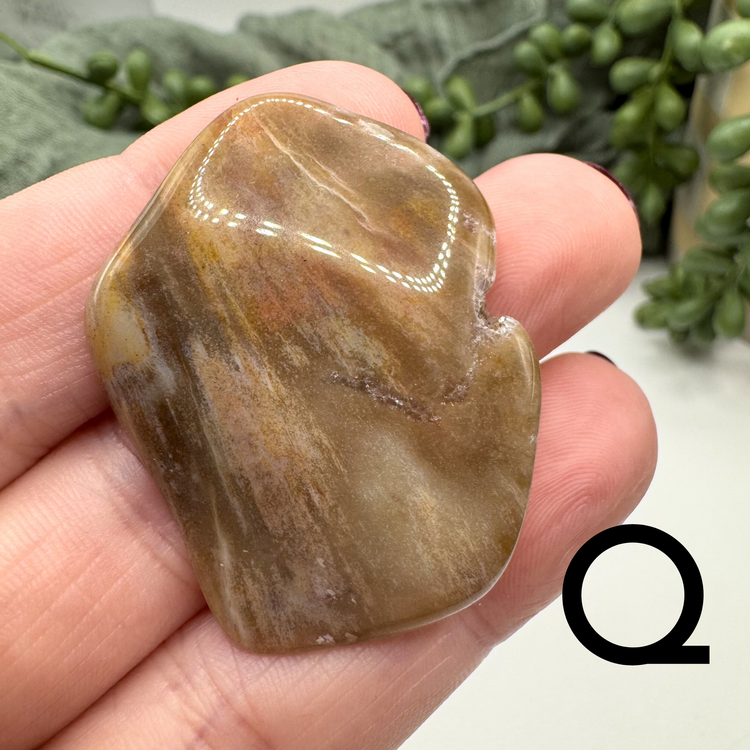 Petrified Wood Tumble