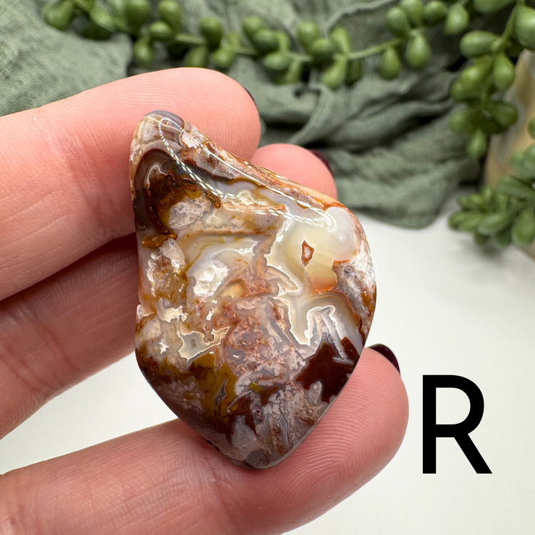 Crazy Lace Agate Tumble