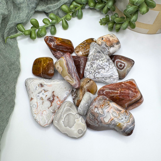 Crazy Lace Agate Tumble - Sus Stew Batch