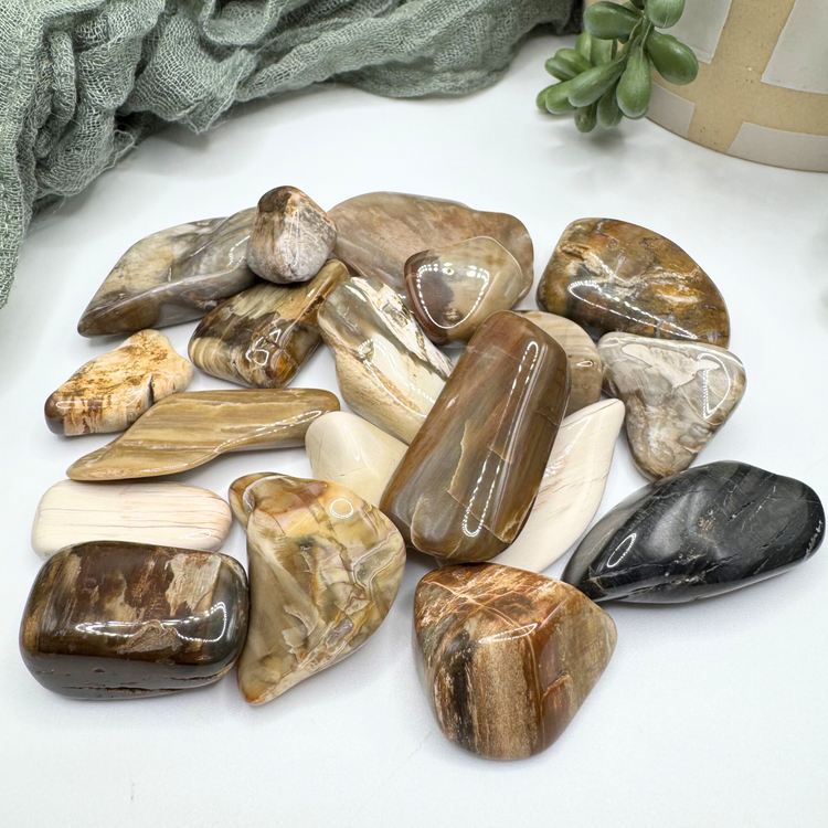 Petrified Wood Tumble