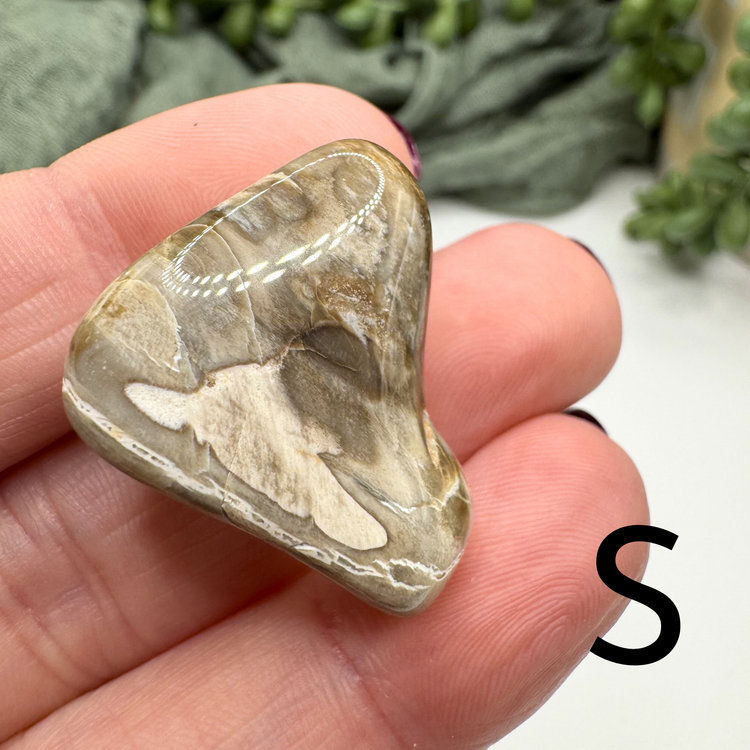 Petrified Wood Tumble