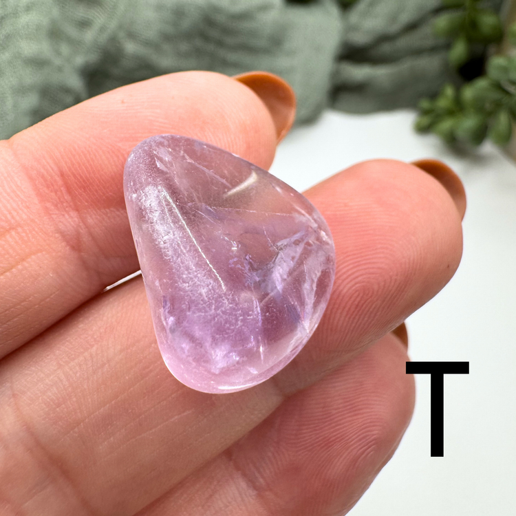 *IMPERFECT* Amethyst Tumble - Sus Stew Batch