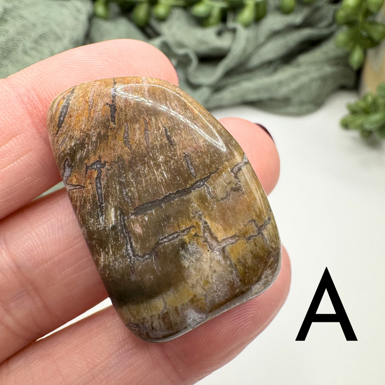 Petrified Wood Tumble