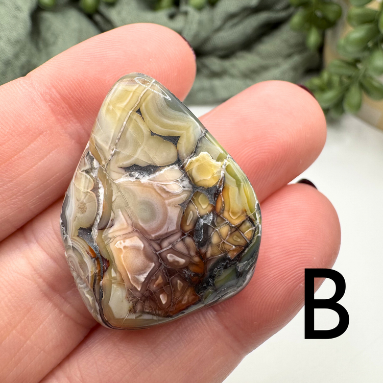 Crazy Lace Agate Tumble