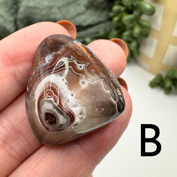 Crazy Lace Agate Tumble - Sus Stew Batch
