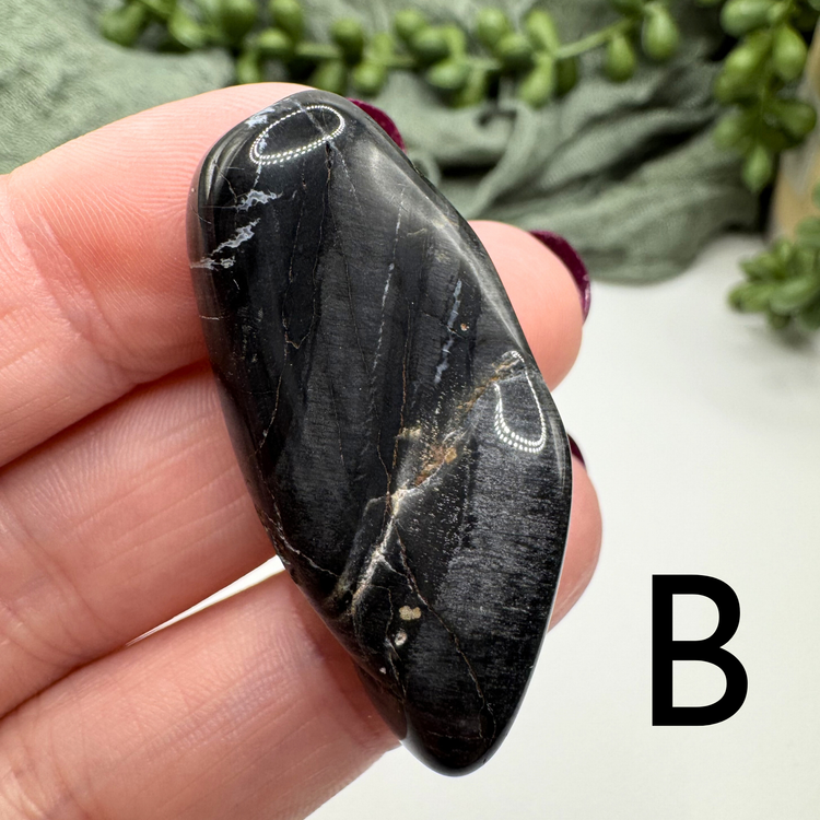 Petrified Wood Tumble