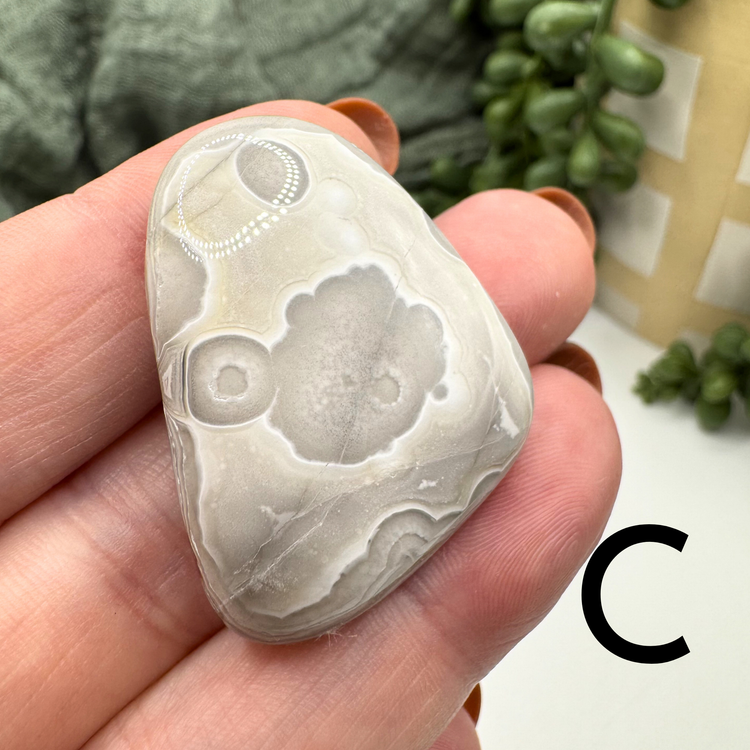 Crazy Lace Agate Tumble - Sus Stew Batch