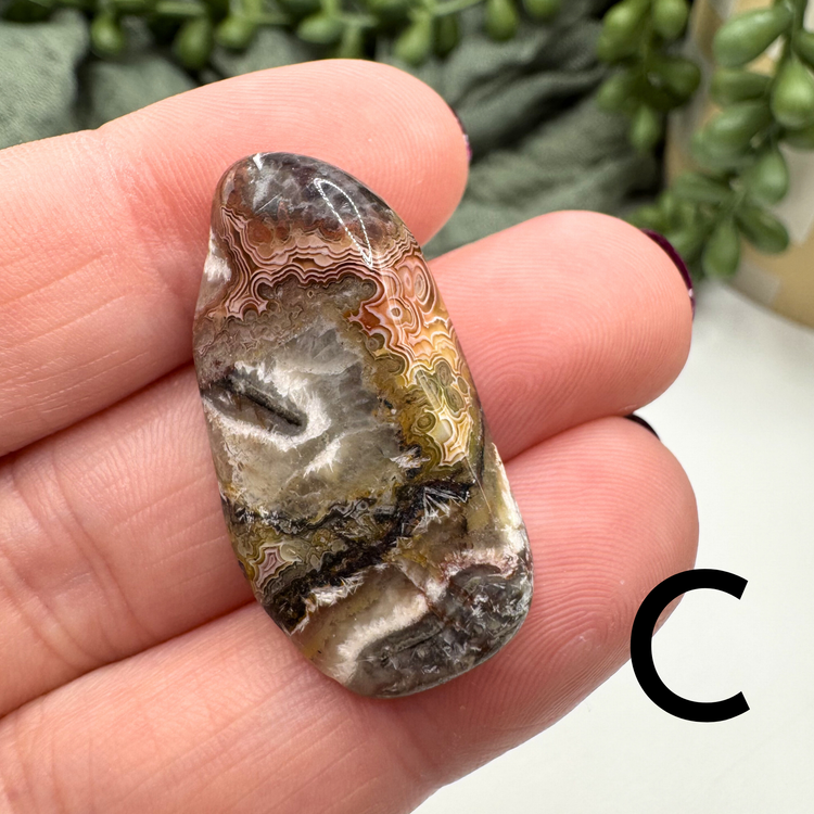 Crazy Lace Agate Tumble