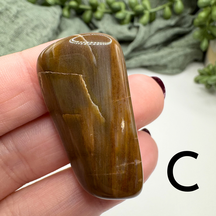 Petrified Wood Tumble