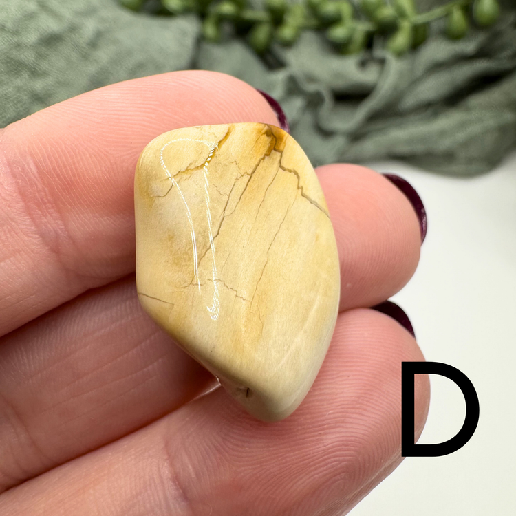 Petrified Wood Tumble