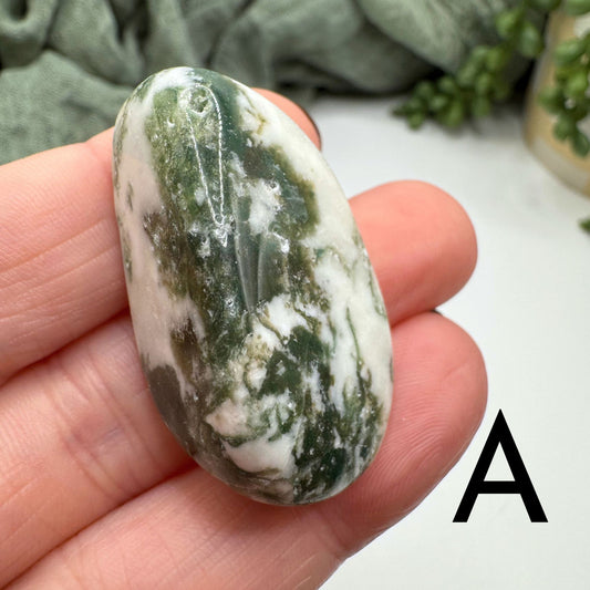 Tree Agate Tumble