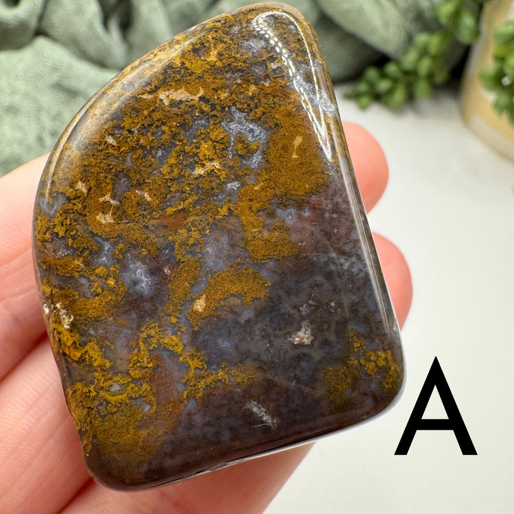 Rio Grande River Tumble