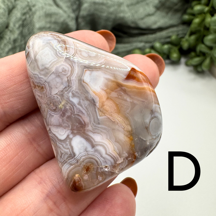 Crazy Lace Agate Tumble - Sus Stew Batch