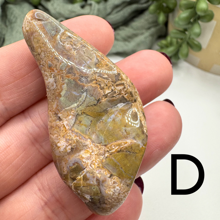 Crazy Lace Agate Tumble