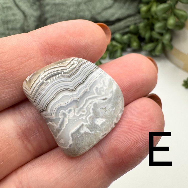 Crazy Lace Agate Tumble - Sus Stew Batch